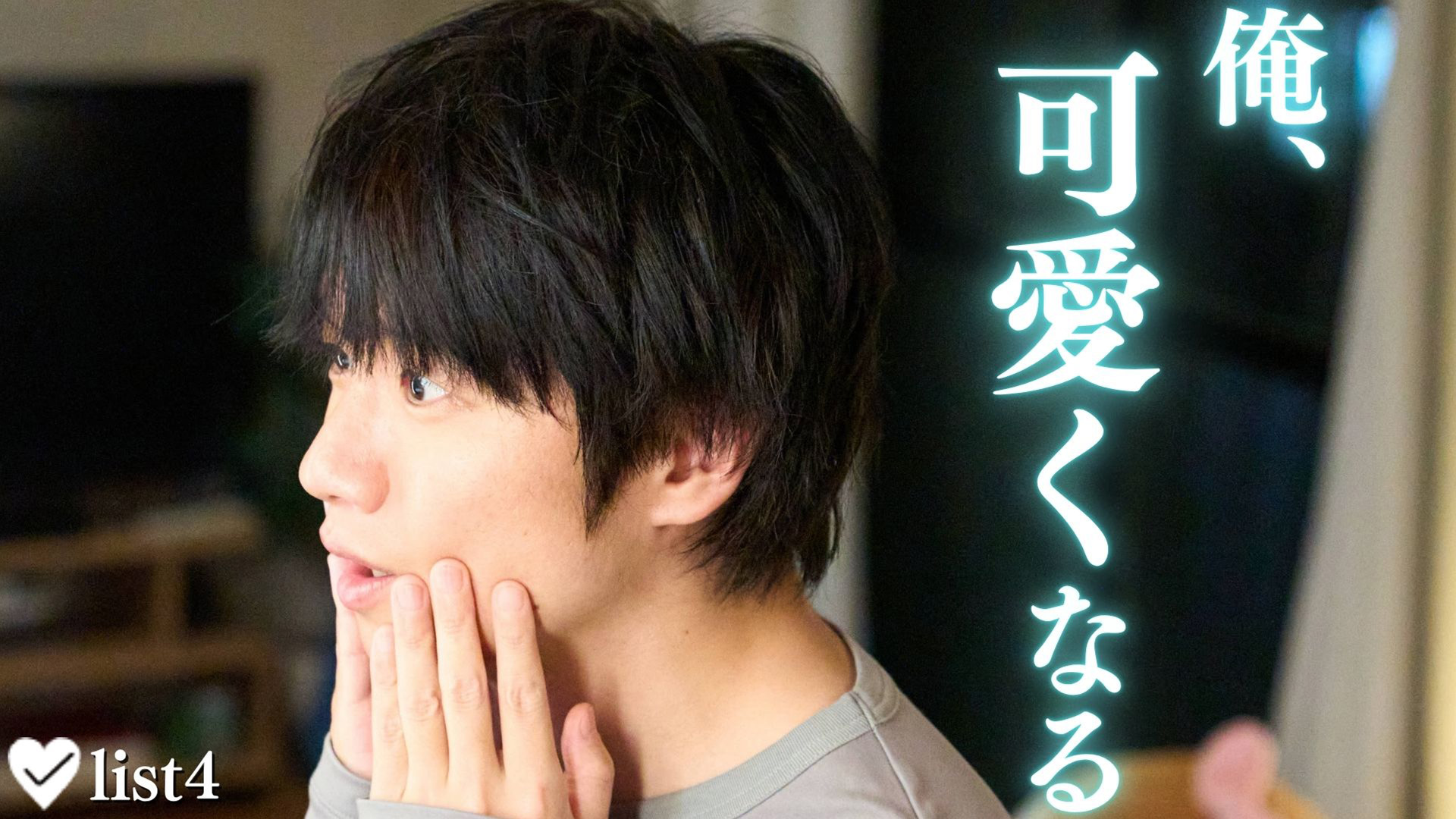 新垣結衣 非売品 特大 タペストリー セット お値段8000円！ ガッキー”史上最高”719カットの写真を収めた規格