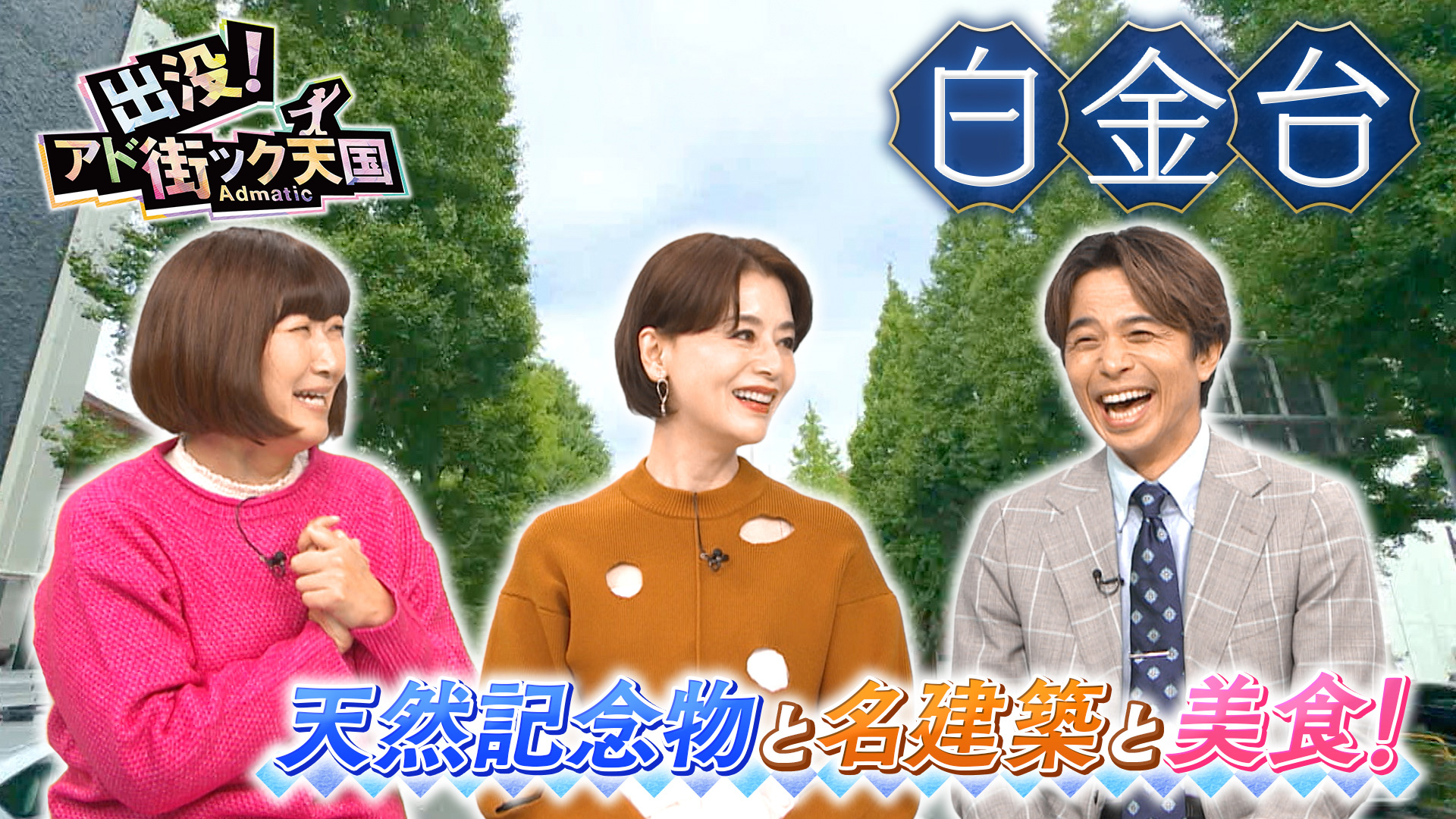 出没！アド街ック天国【調布】京王沿線第3弾！祝☆市制70周年！番組