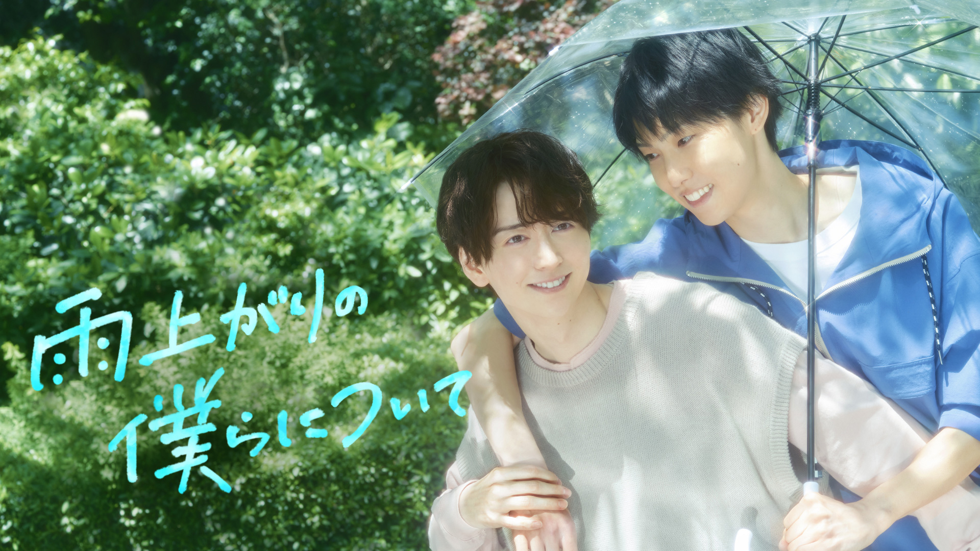 無料テレビで雨上がりの僕らについてを視聴する
