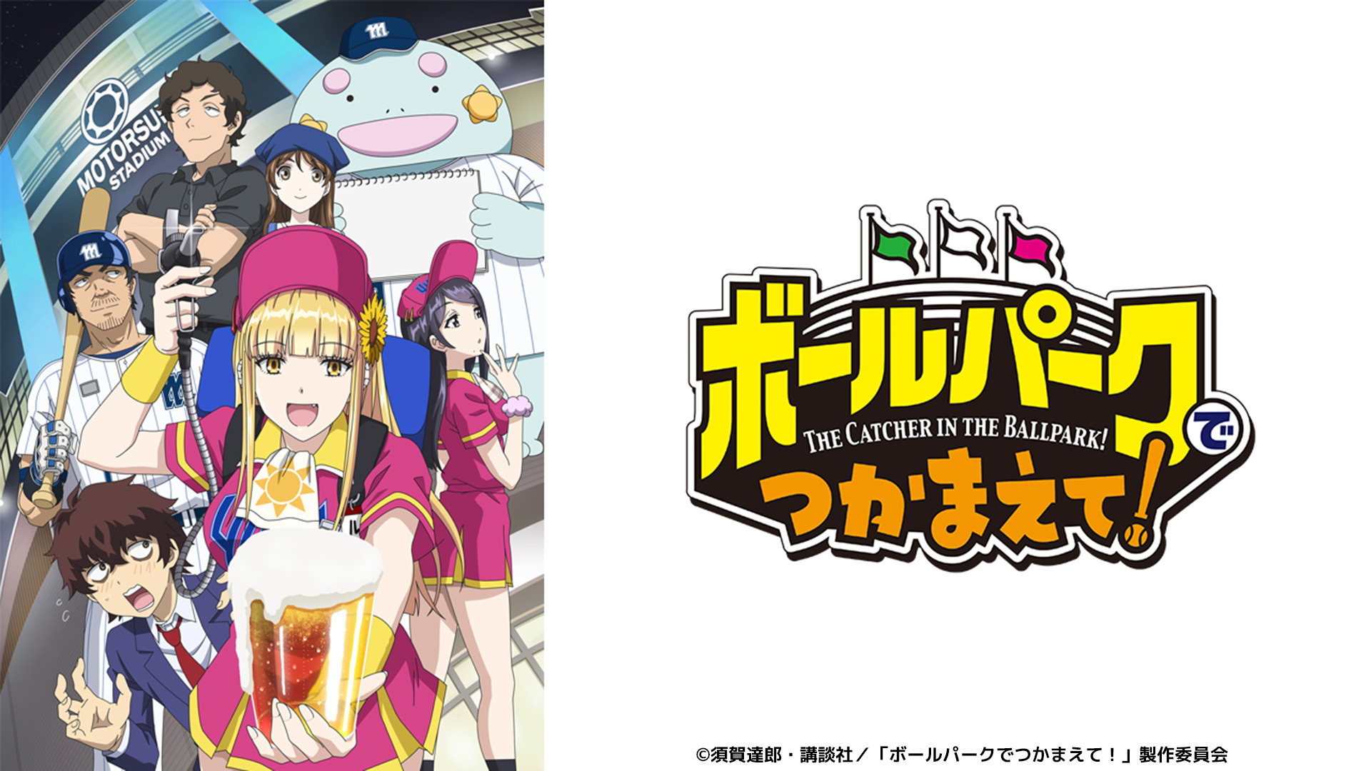 無料テレビでボールパークでつかまえて！を視聴する