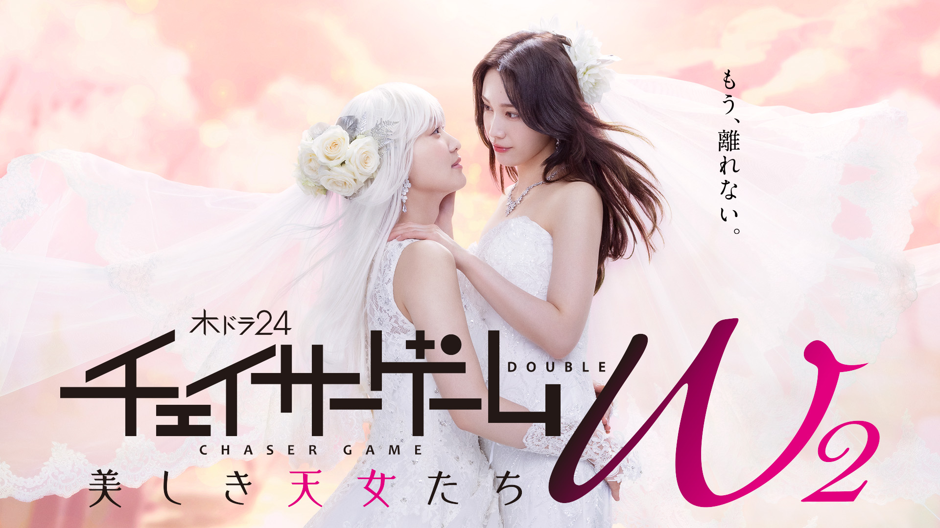 チェイサーゲームW2 美しき天女たち Blu-ray BOX 71kE1+FtKFL.jpg_BO30,255,255,