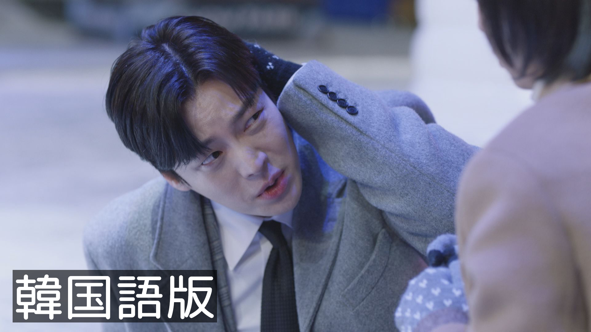 レンタル　DVD 本物（チンチャ）が現れた！～まさか結婚するなんて～　韓国ドラマ レンタル DVD 本物（チンチャ）が現れた！～まさか結婚するなんて