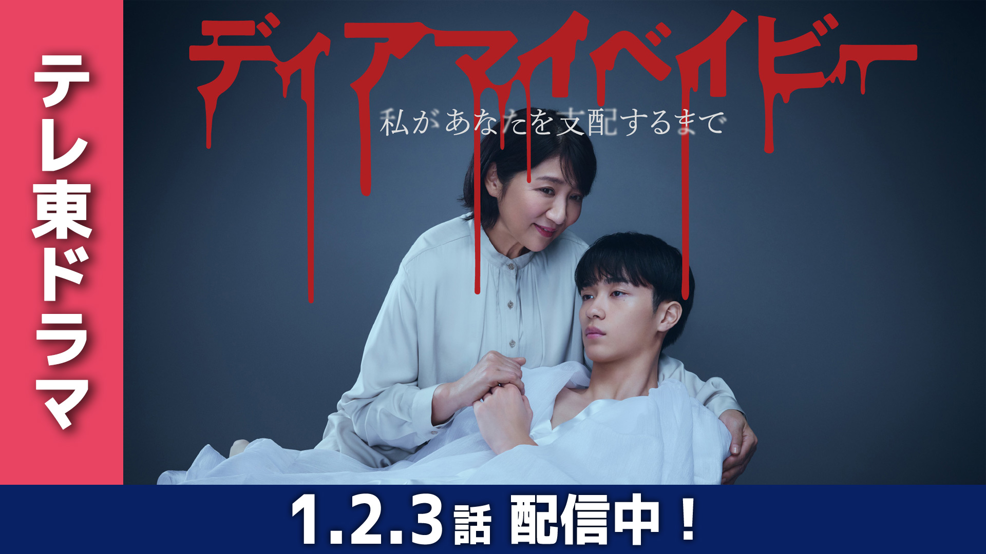無料テレビでディアマイベイビー~私があなたを支配するまで~を視聴する