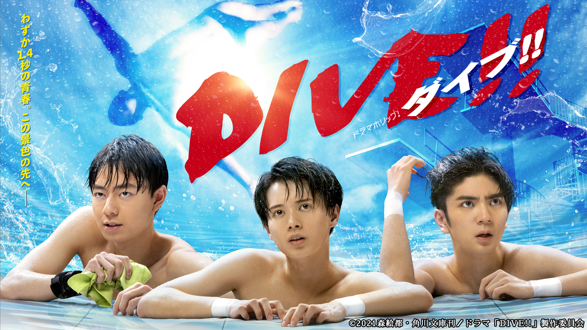 無料テレビでDIVE!!を視聴する