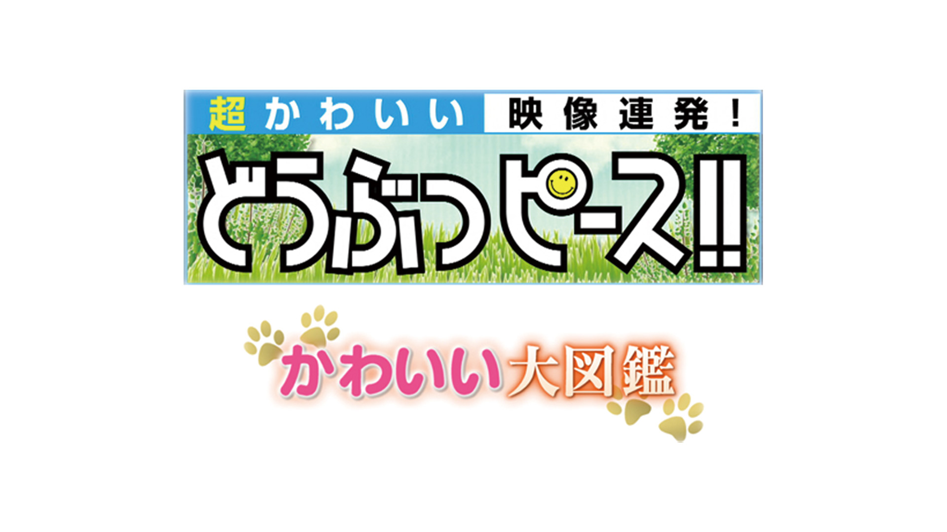 公式配信 どうぶつピース かわいい大図鑑 テレビ東京の番組動画を無料で見逃し配信 ネットもテレ東