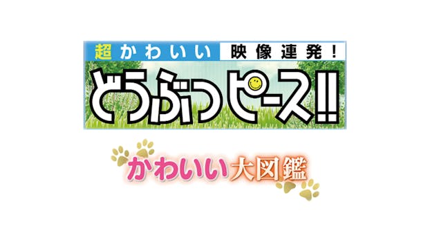 公式 ネットもテレ東 テレビ東京の番組動画を無料で見逃し配信