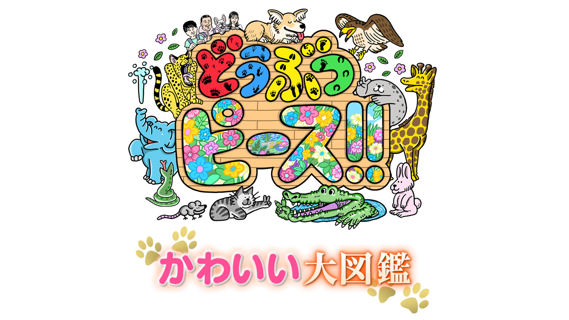 無料テレビでどうぶつピース!!かわいい大図鑑を視聴する