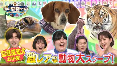 空港探知犬が大捕り物＆バズるニュースなペット！