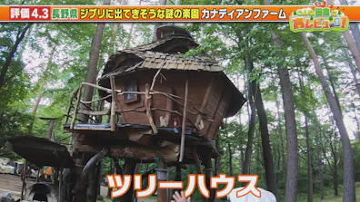 見ると絶対行きたくなる！ こんな田舎の名店カタログ（配信オリジナル）