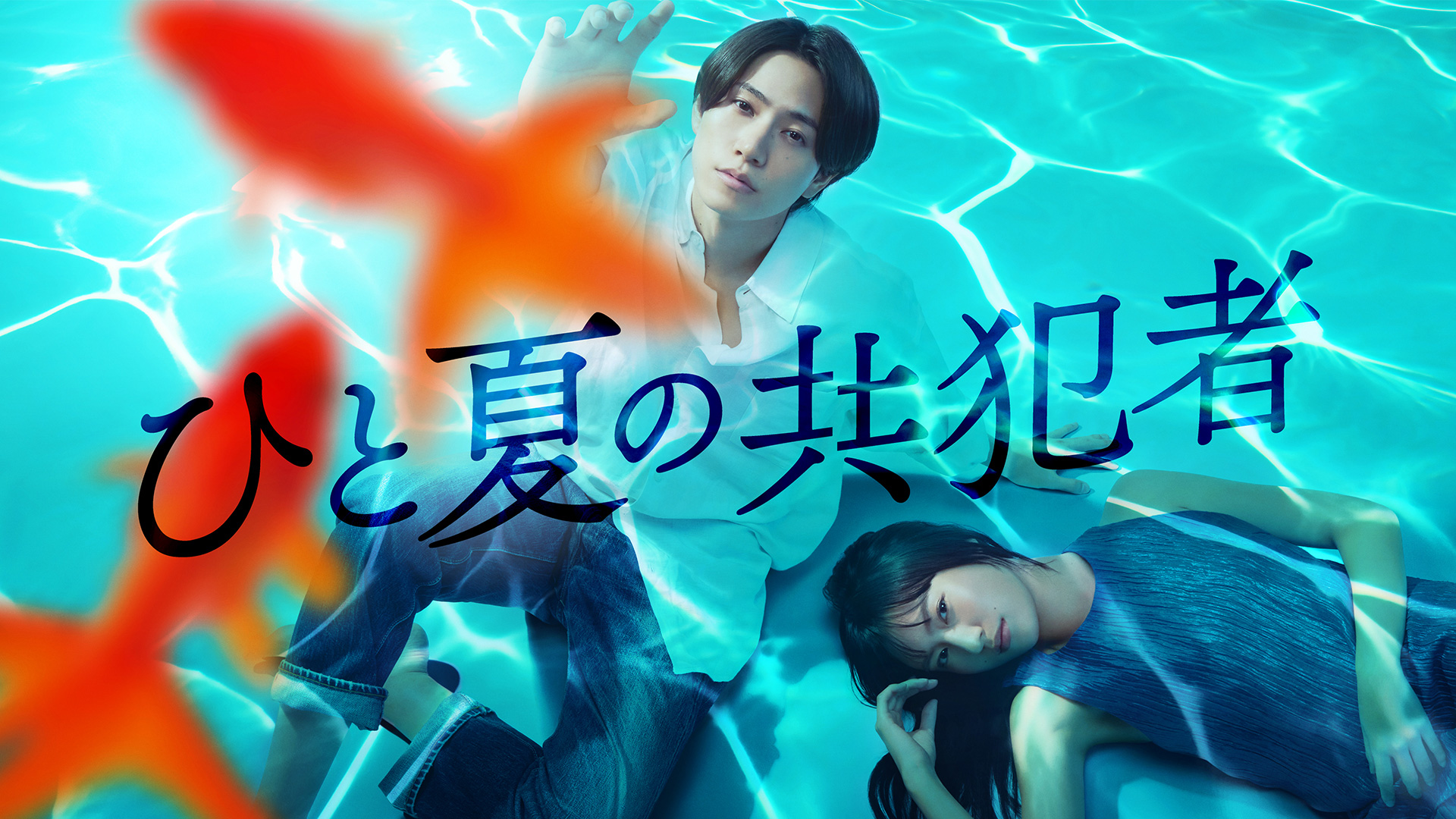 無料テレビでひと夏の共犯者を視聴する