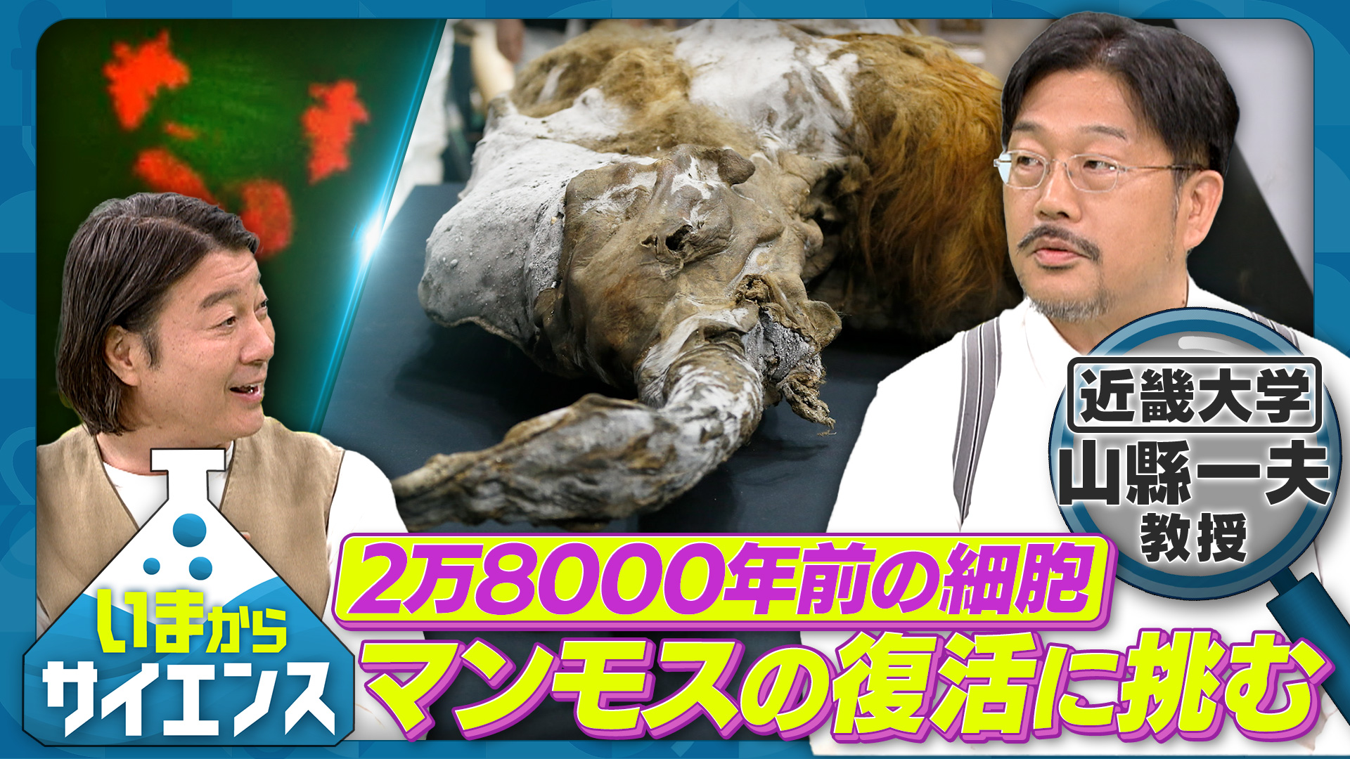 居間からサイエンス～「昆虫の脳」驚異の能力を人の社会に