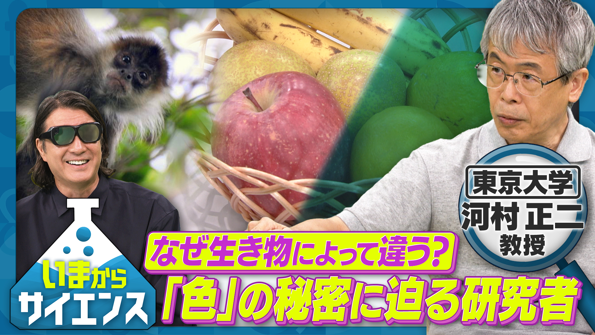 太鼓持ちの達人～正しいXXのほめ方～｜ネットもテレ東 テレビ