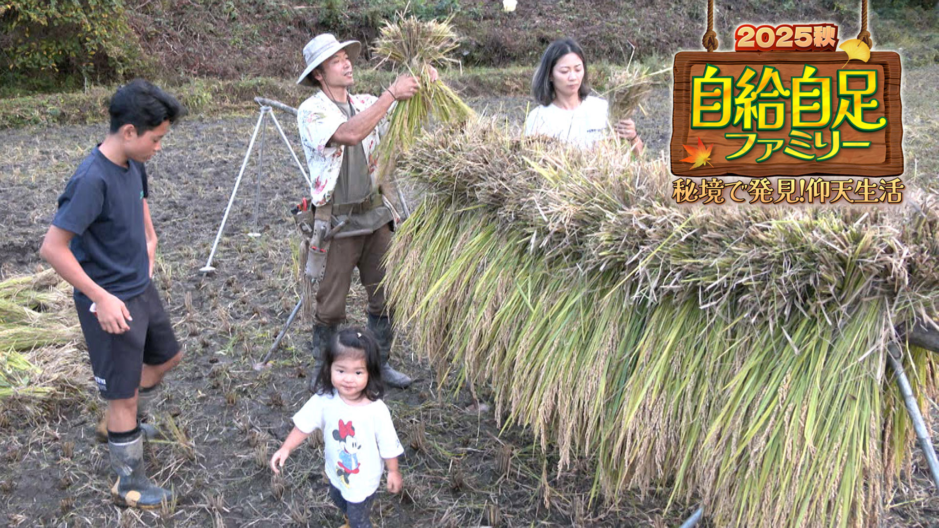 無料テレビで自給自足ファミリー２０２５秋を視聴する