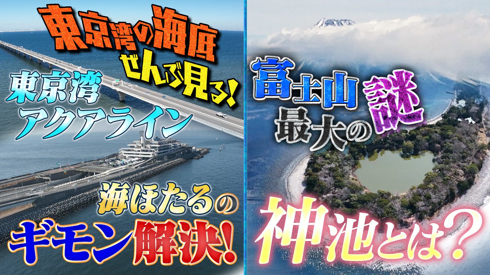 芸能界オールスター草野球2024|ネットもテレ東 テレビ東京 芸能界オールスター草野球2024|ネットもテレ東 テレビ東京