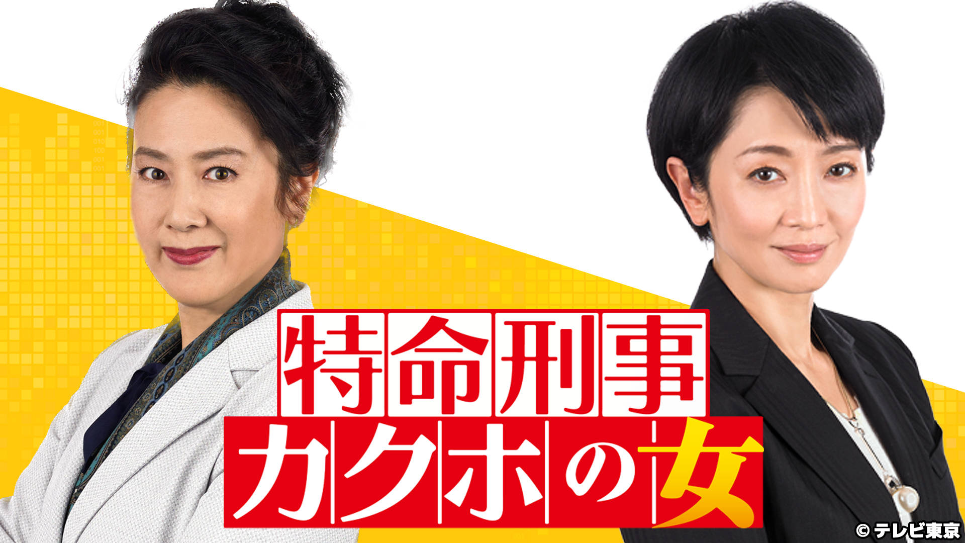 特命刑事 カクホの女｜ネットもテレ東 テレビ東京の人気番組動画を無料配信！