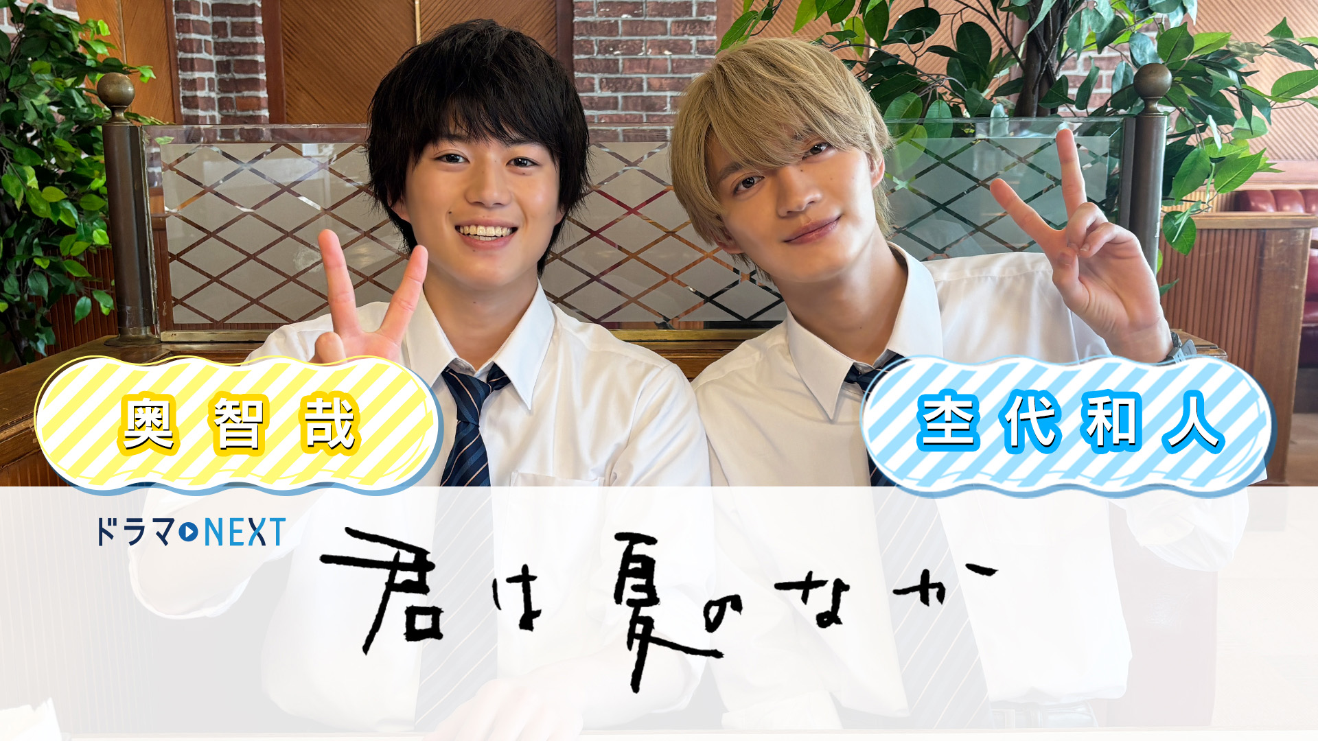 ドラマNEXT「君は夏のなか」 | テレ東・BSテレ東 7ch(公式)
