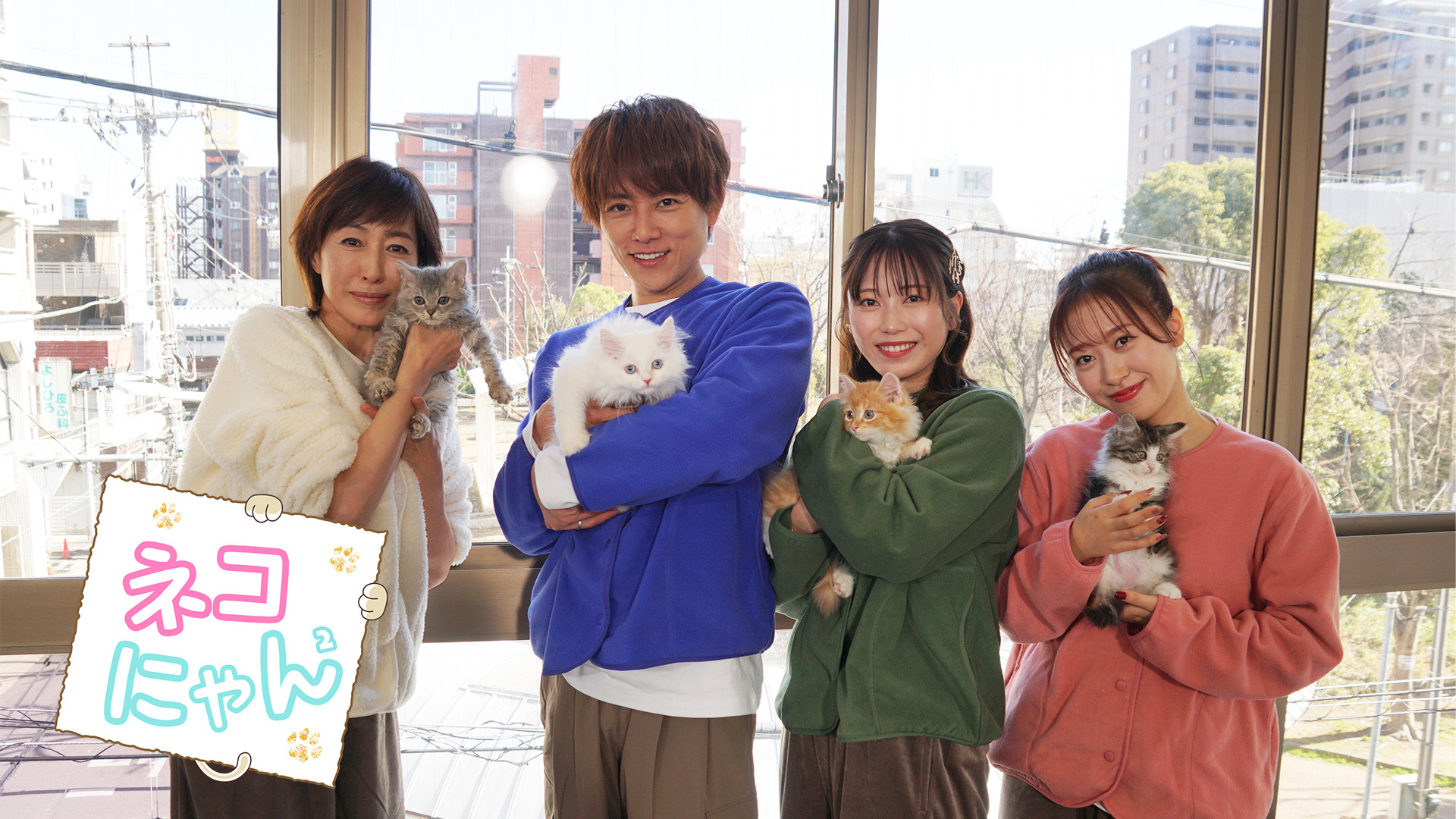 無料テレビでネコにゃん ～子猫はじめて体験物語～を視聴する