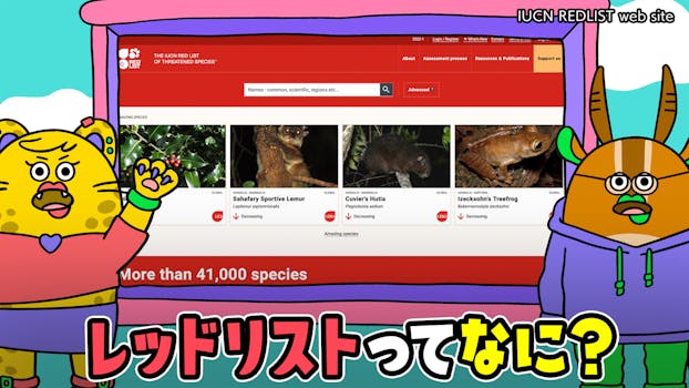 迷惑生物から住民を守れ 凄腕 危険生物バスターズ2 ネットもテレ東 テレビ東京の人気番組動画を無料配信 迷惑生物から住民を守れ 凄腕 危険生物バスターズ2 ネットもテレ東 テレビ東京の人気番組動画を無料配信