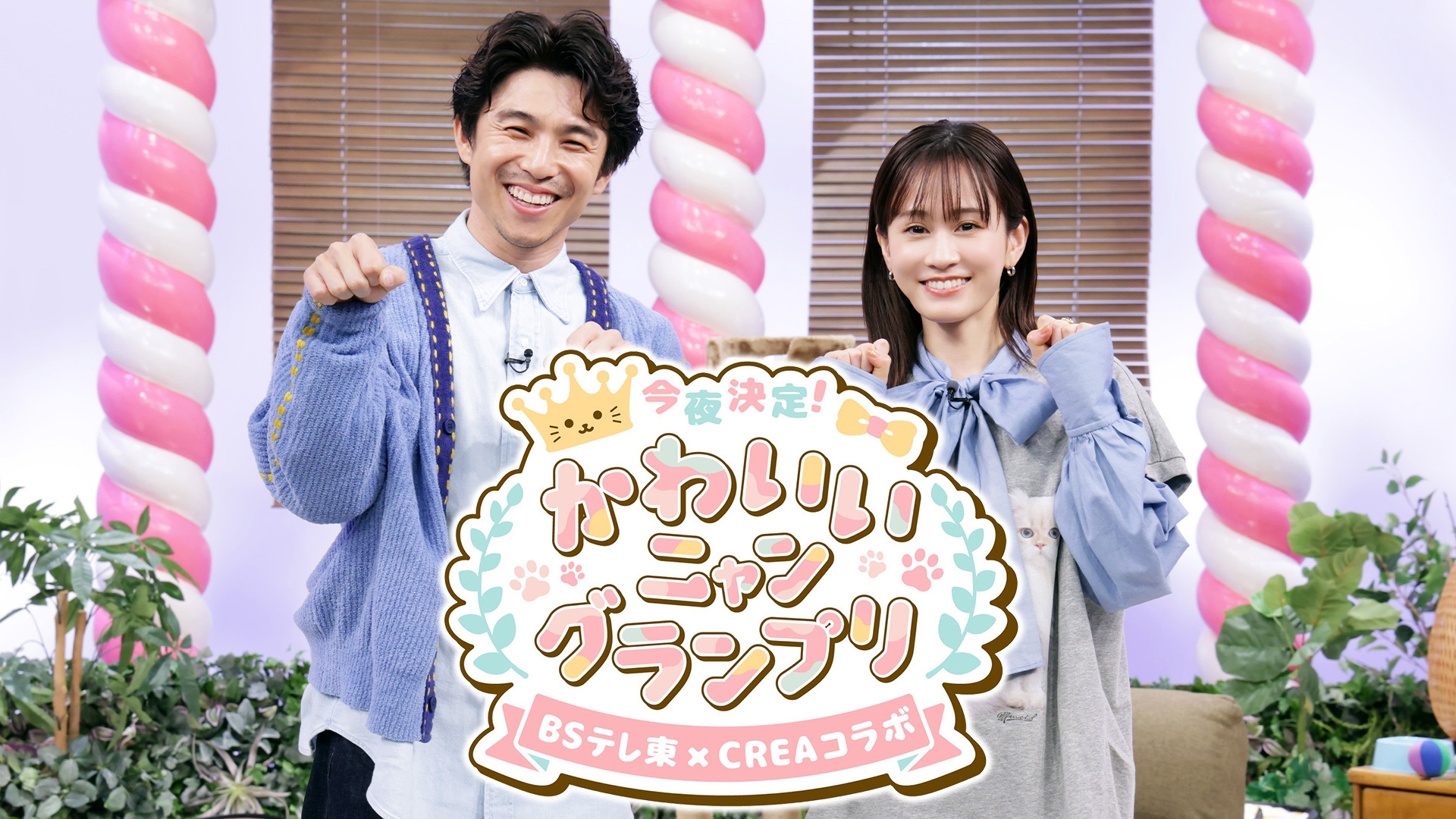 無料テレビで今夜決定！かわいいニャングランプリ～BSテレ東×CREA コラボ～を視聴する