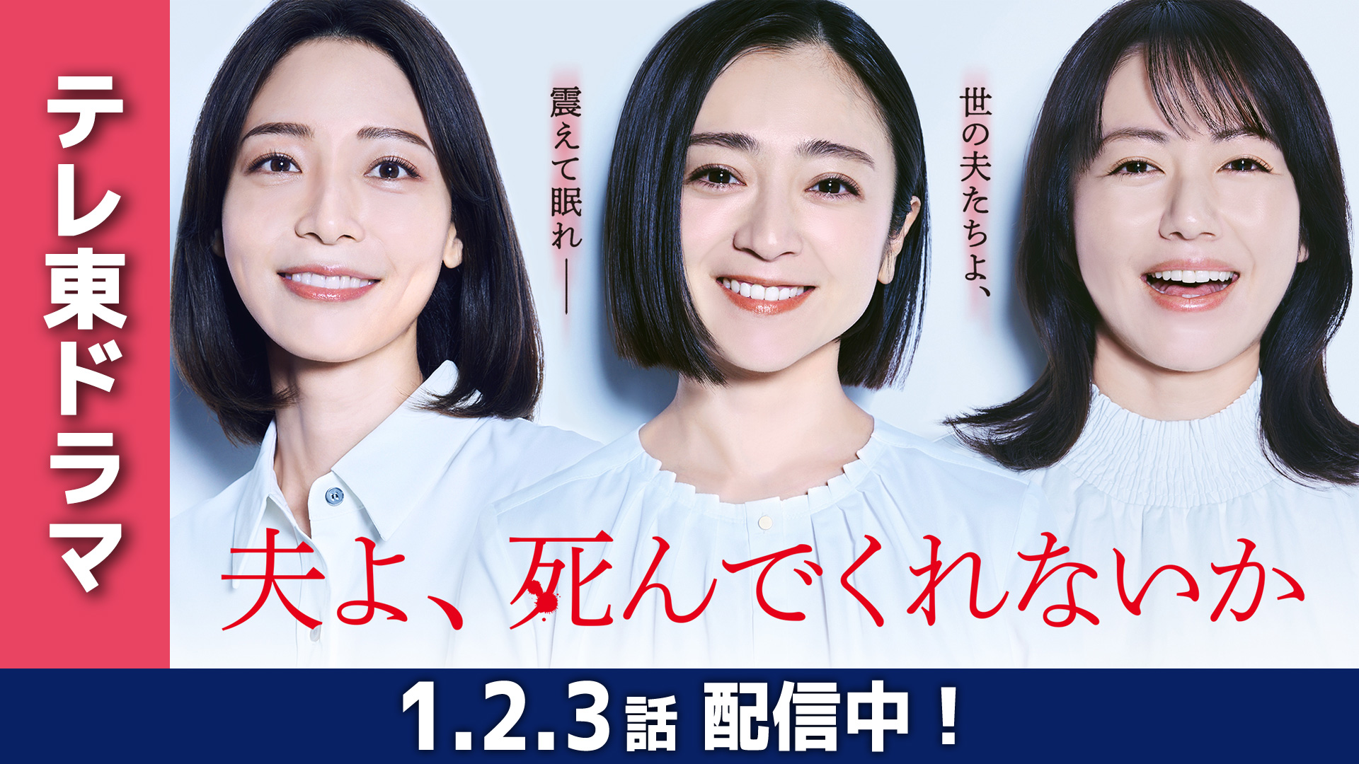 無料テレビで夫よ、死んでくれないかを視聴する
