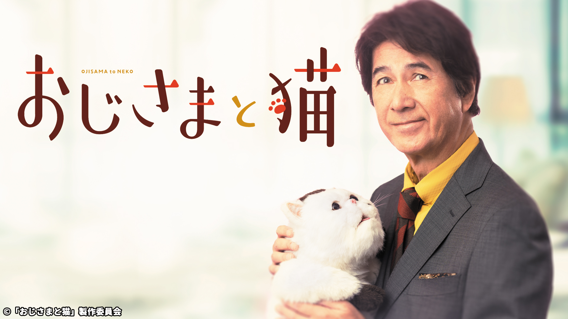 おじさまと猫《ドラマパラビ》｜ネットもテレ東 テレビ東京の ...