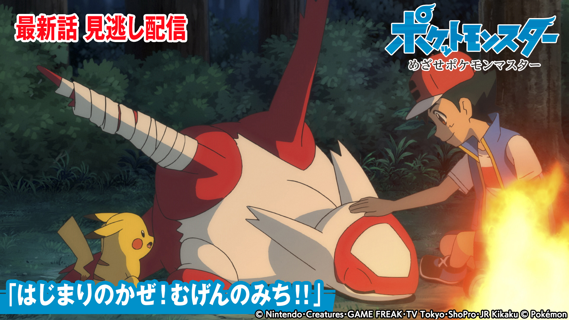 めざせ ポケモンカードマスター ポケットモンスター Www Elsantuariotacos Com