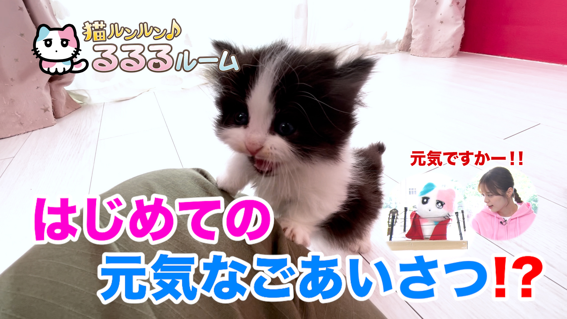 るんるん♪様確認用