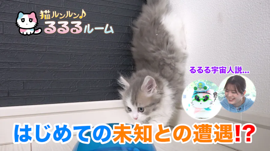 癒しの空猫さんオルゴナイト～夕日～ 抜け落ち
