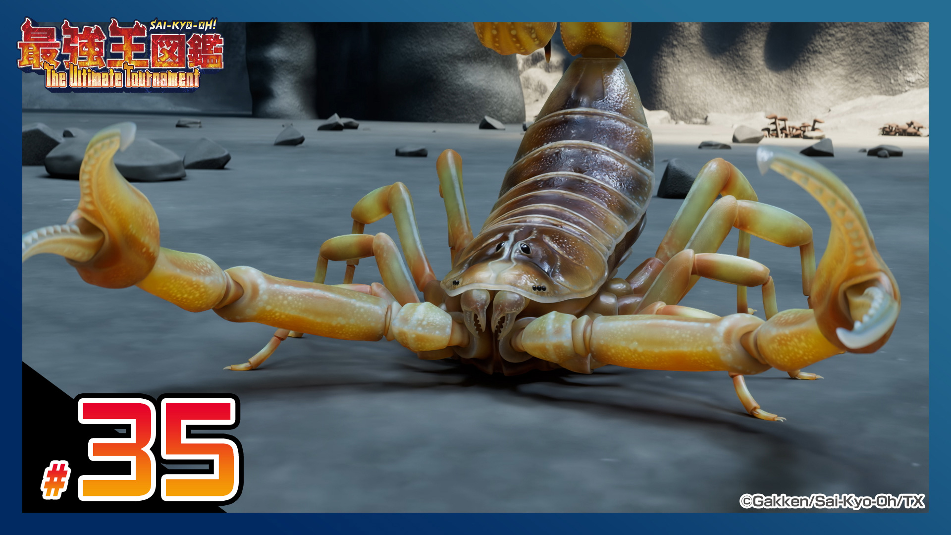 最強王図鑑～The Ultimate Tournament～(テレ東、2025/8/31 07:15 OA