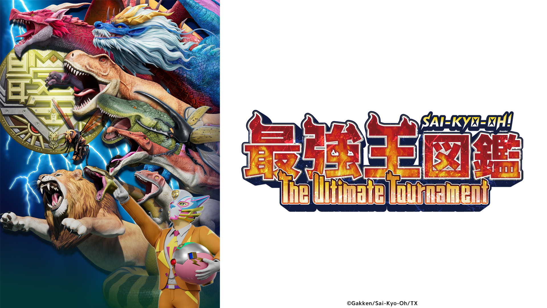 無料テレビで最強王図鑑 ～The Ultimate Tournament～を視聴する