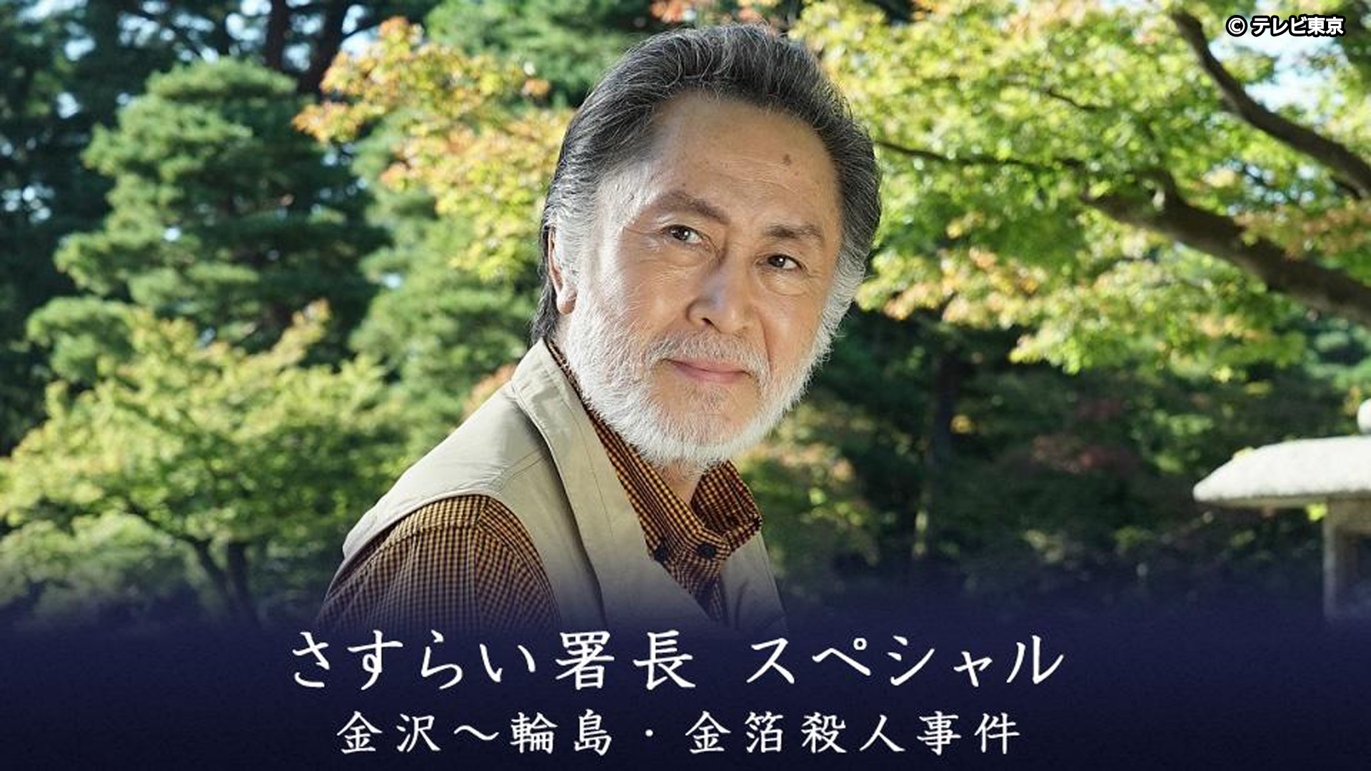 さすらい署長スペシャル 金沢～輪島・金箔殺人事件｜ネットも