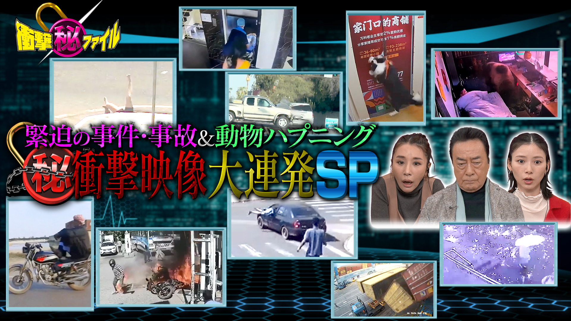 世界が騒然！本当にあった衝撃ファイル【UFO＆UMA衝撃事件SP】(テレ東、2024/3/4 20:00 OA)の番組情報ページ |  テレ東・ＢＳテレ東 7ch(公式)