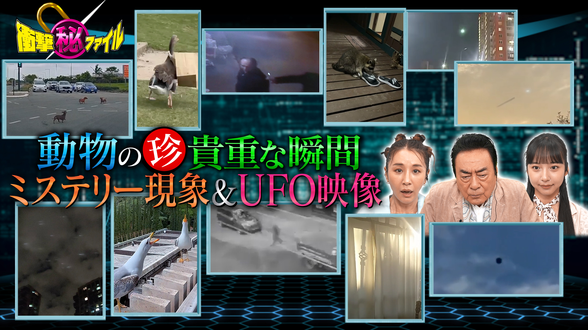 衝撃ファイル【空港で密輸を“ミヤブレ”＆狡猾知能犯SP】(テレ