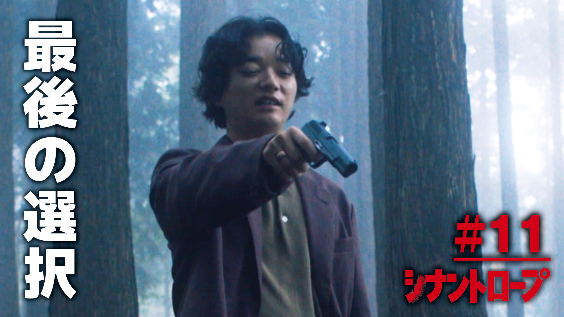 宮廷女官チャングムの誓い」第29話～第33話【あらすじ】 | テレ東