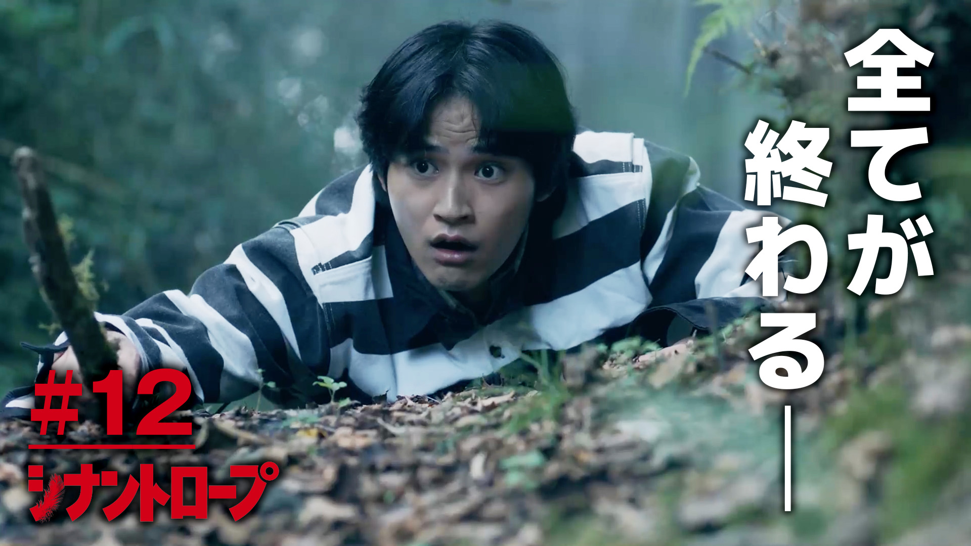 太鼓持ちの達人～正しいXXのほめ方～｜ネットもテレ東 テレビ東京の