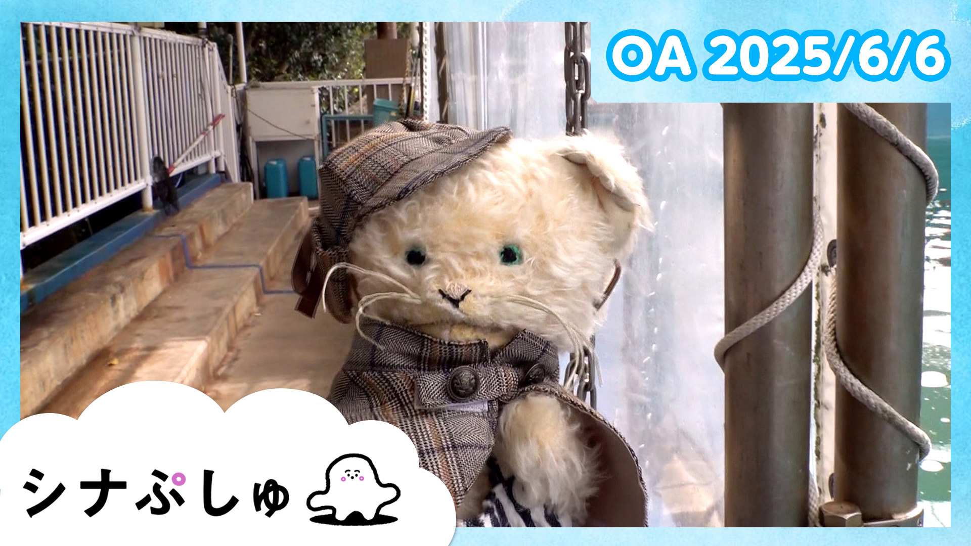 赤ちゃんが喜ぶ】シナぷしゅ公式24/04/24│赤ちゃんが泣き止む