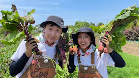 種から植えるTV第119回 さいたまヨーロッパ野菜を学ぶ 収穫編