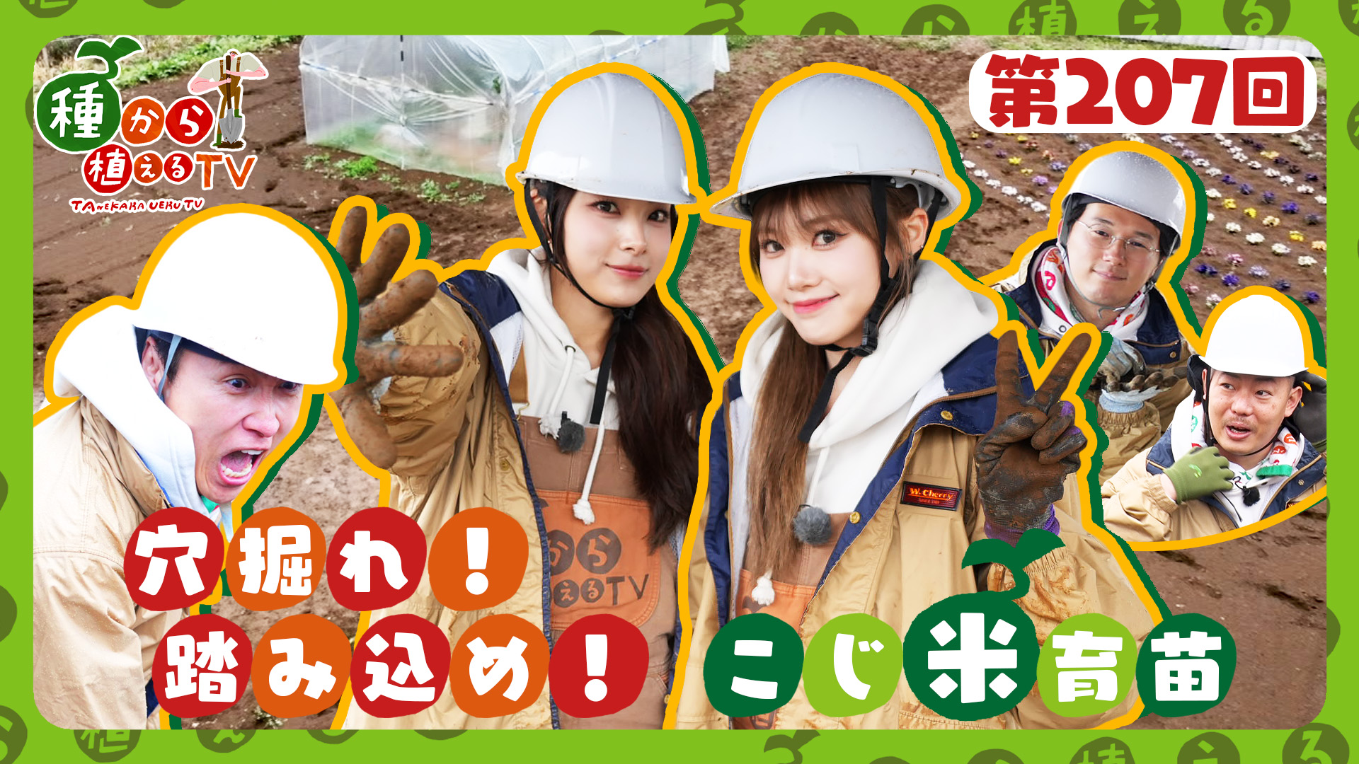 テレビ（受け渡し先決定） 新章突入!! #仮面ライダーゼッツ／ 極秘防衛機関【CODE】 歴戦の