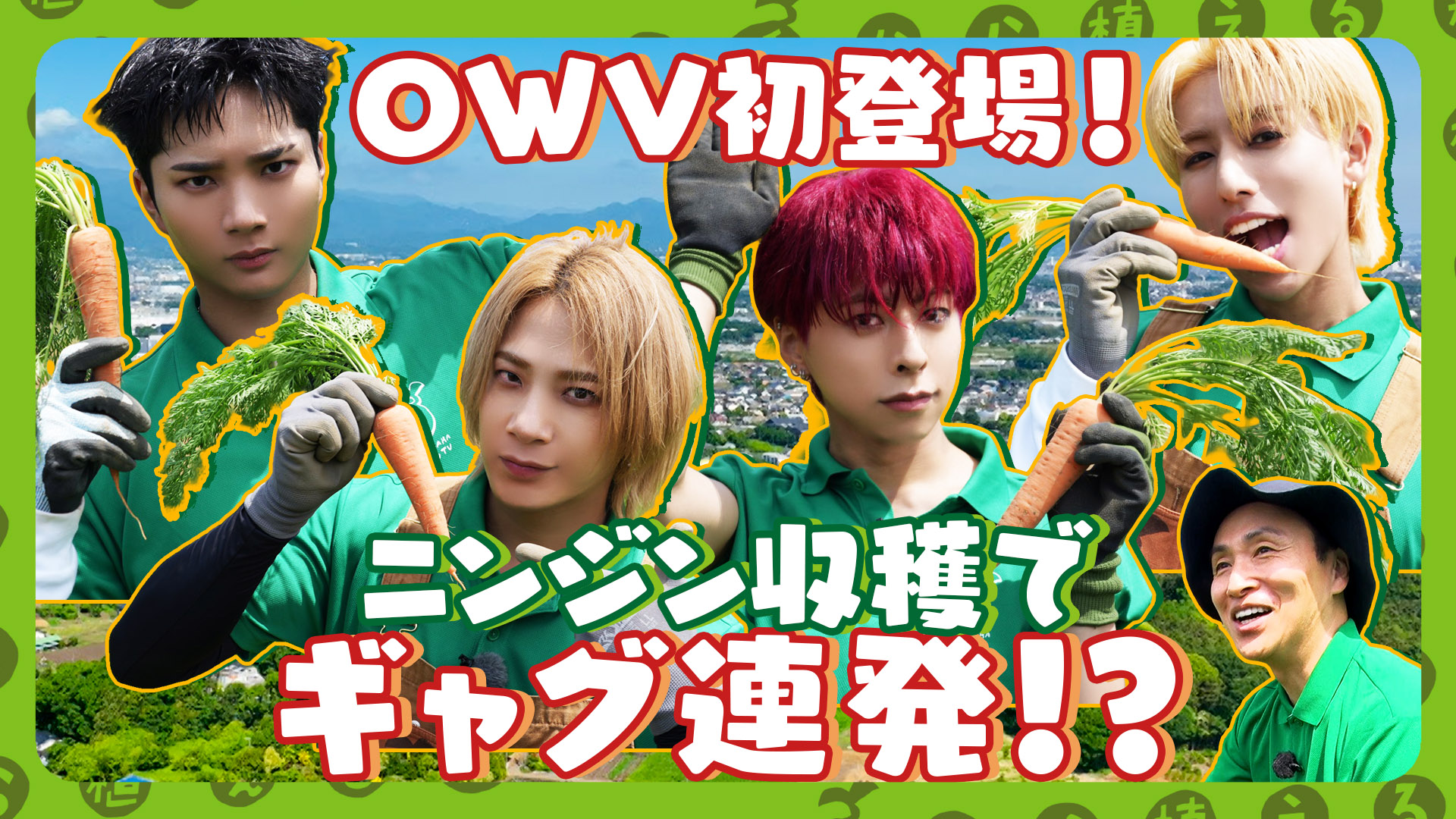 種から植えるTV【ネギ2000本収穫！大久保佳代子＆武田真一が参戦