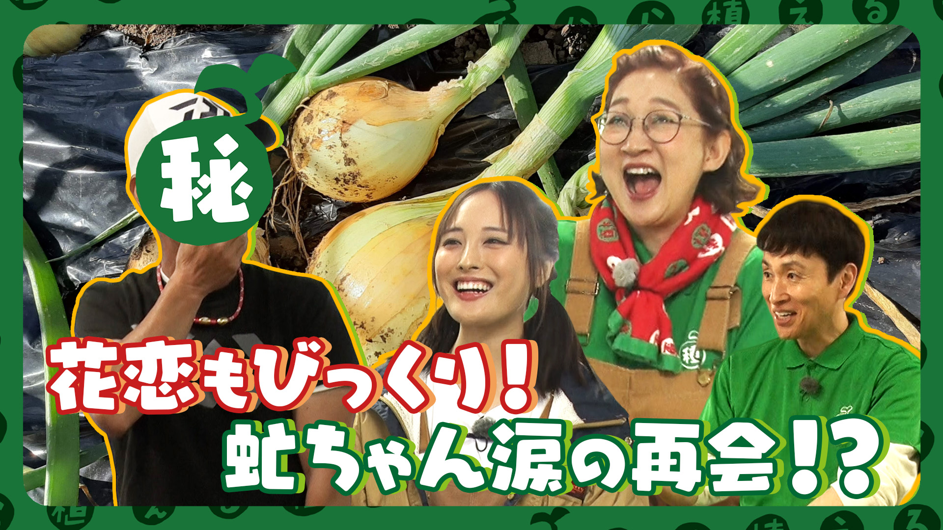 種から植えるTV【こじ米プロジェクト！有機肥料を使った栽培に挑戦