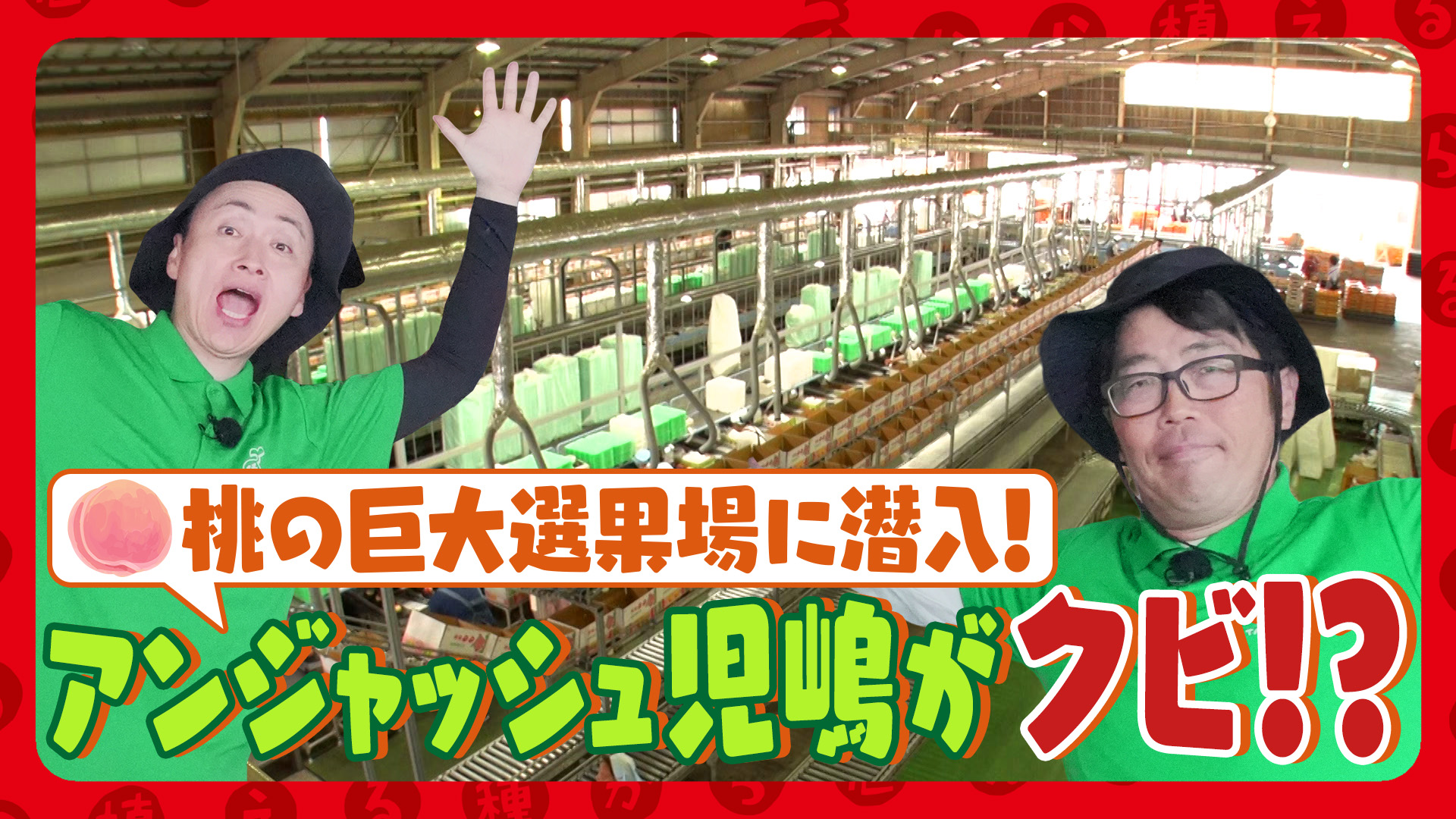 種から植えるTV【埼玉・杉戸町で新タマネギ150個を収穫！虻川＆大友花