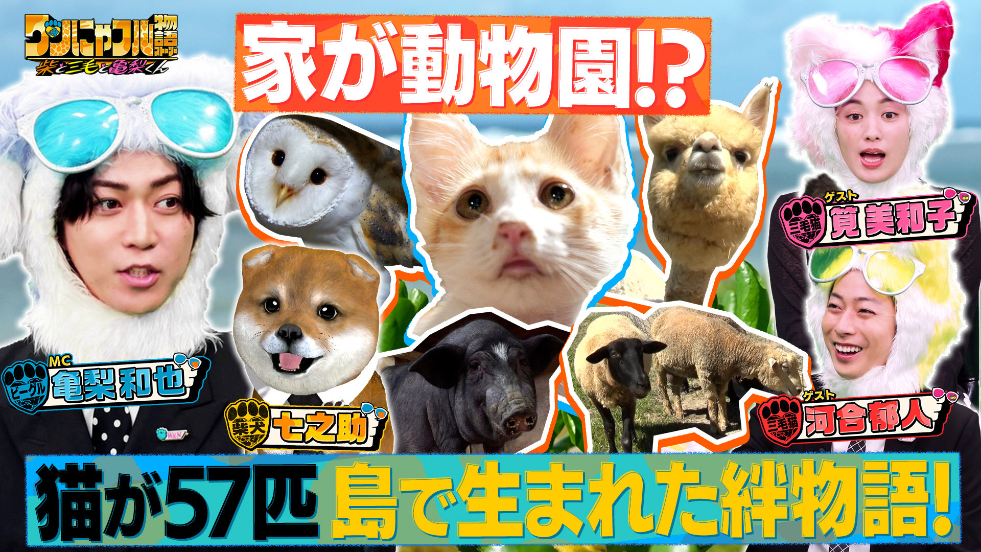 (未使用･未開封品)　バイプレイヤーズ ~もしも名脇役がテレ東朝ドラで無人島生活したら~ Blu-ray BOX(4枚組) 6k88evb Amazon.co.jp: バイプレイヤーズ ~もしも名脇役がテレ東朝ドラで