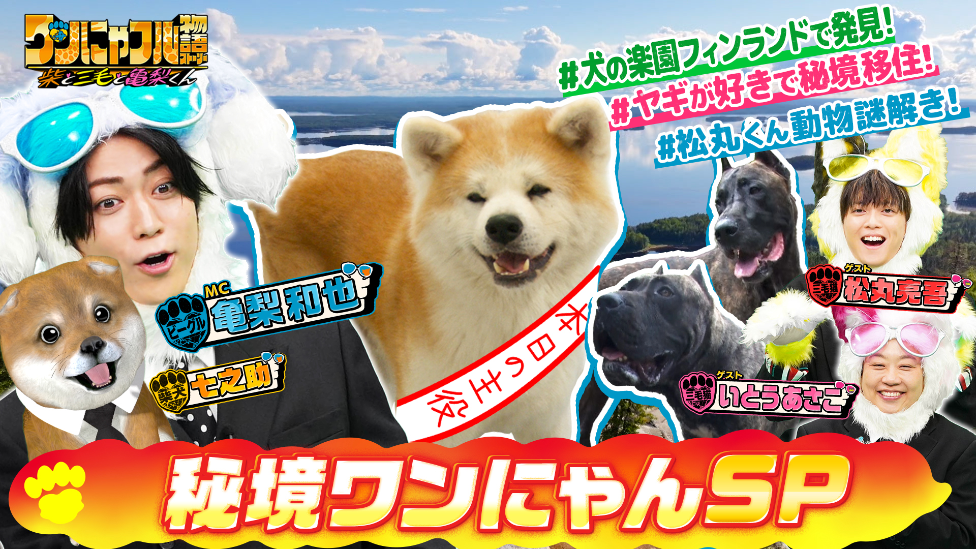 世界！ワンにゃフル物語☆ワンちゃん天国フィンランド＆動物200匹田舎
