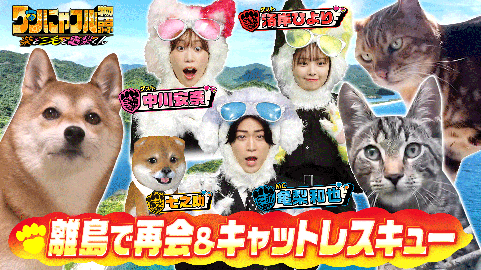 ワンにゃフル物語☆密着192時間！猫レスキューinアメリカ＆離島