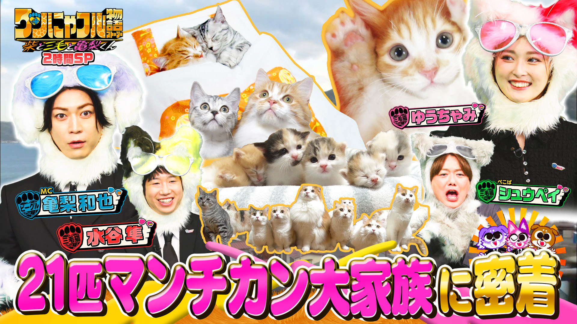 ワンにゃフル物語【2度命を救った伝説犬＆海外で柴犬が大人気なぜ