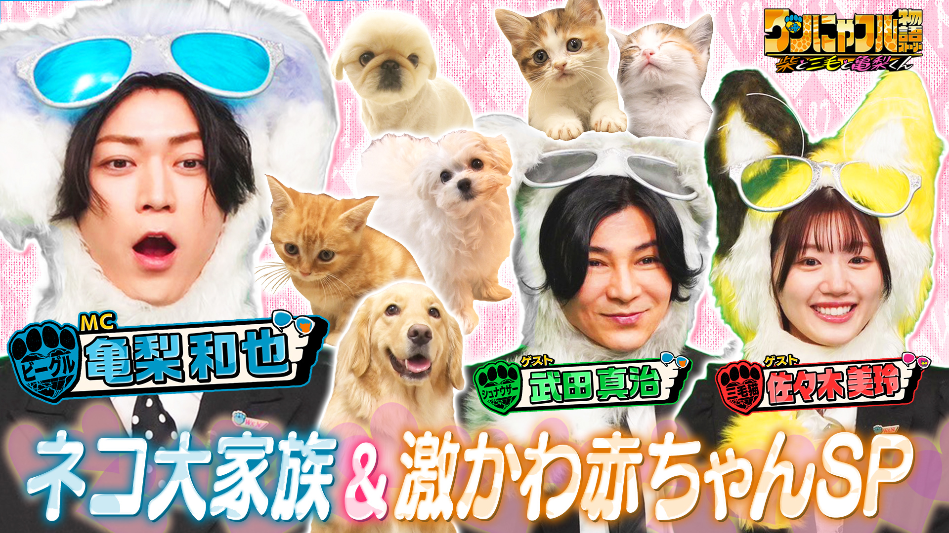 世界！ワンにゃフル物語☆ワンちゃん天国フィンランド＆動物200匹田舎