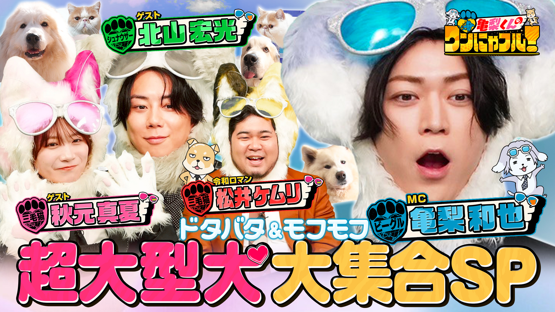 激かわ！亀梨くんのワンにゃフル☆計250kg！ふわもこピレニーズ一家