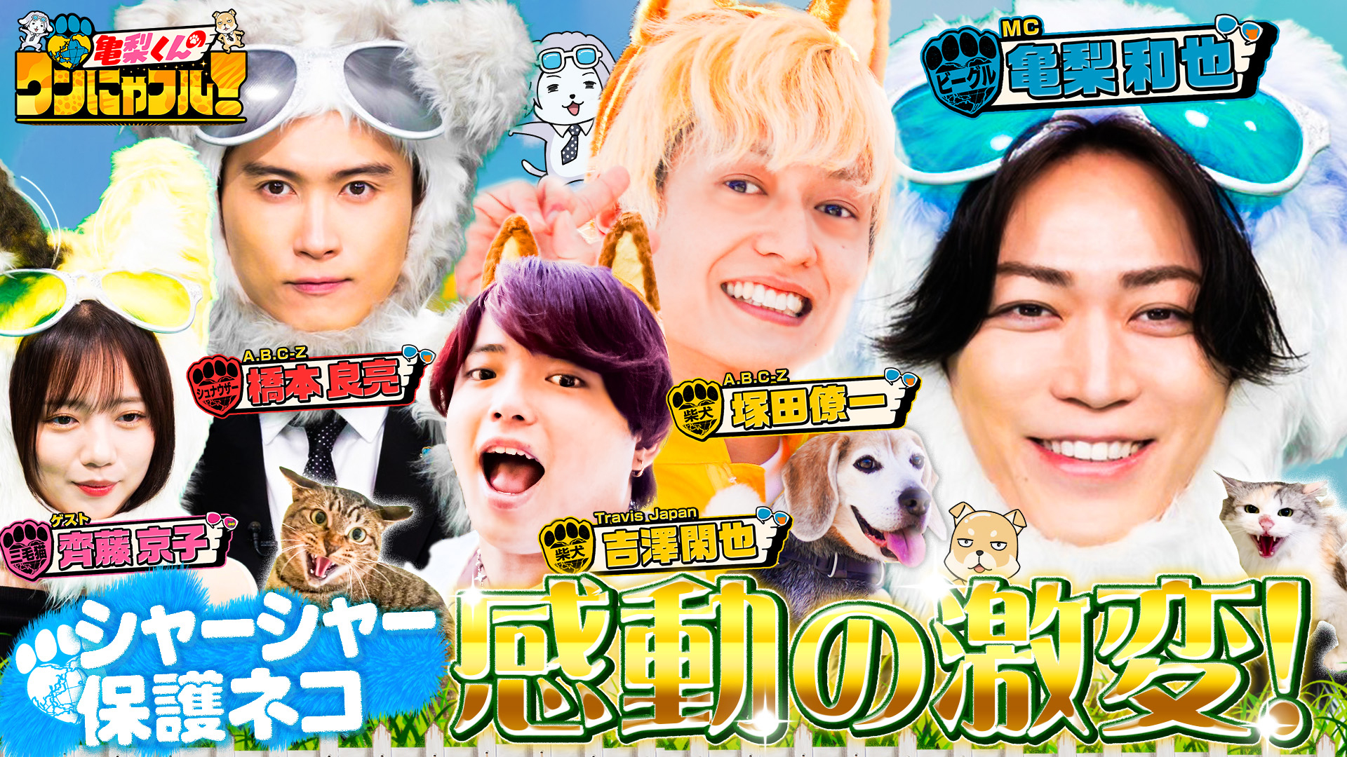激かわ！ワンにゃフル物語☆モフモフ大型犬祭り！7匹ピレニーズ一家