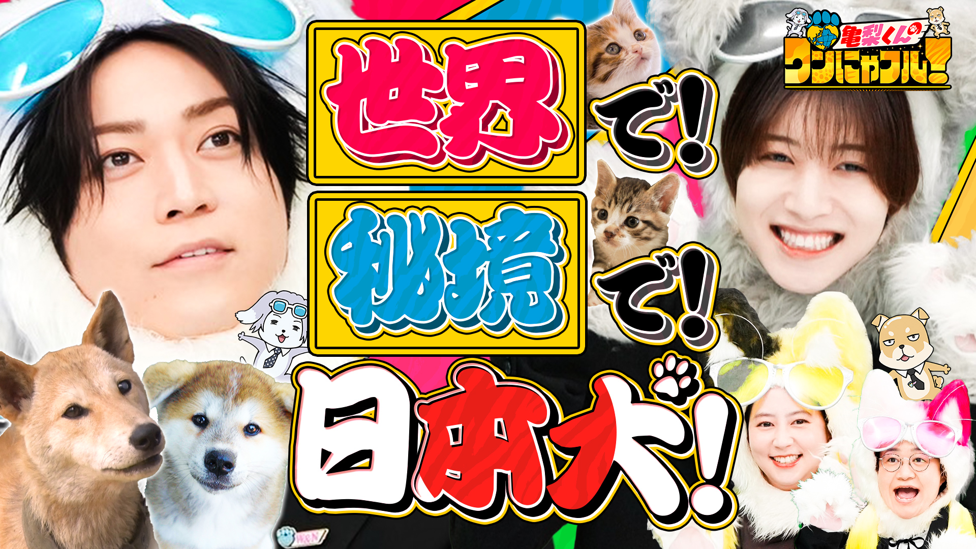 ワンにゃフル物語☆密着192時間！猫レスキューinアメリカ＆離島